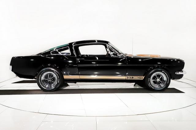 Mustang image 1