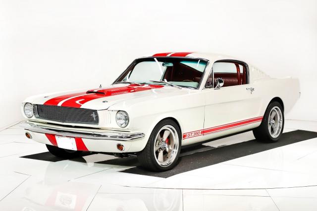 Mustang image 2