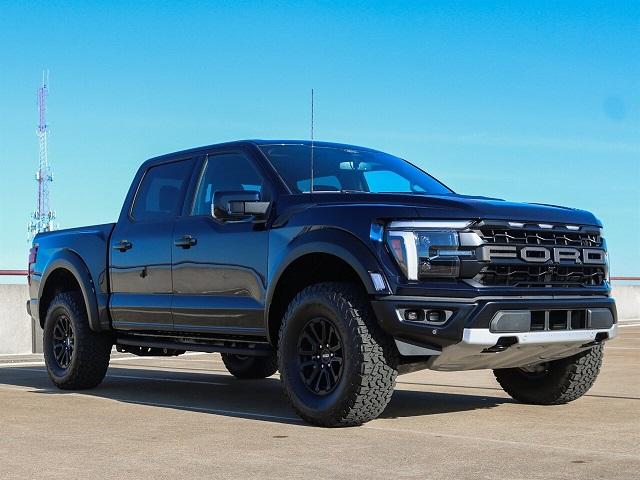 F 150 image 3