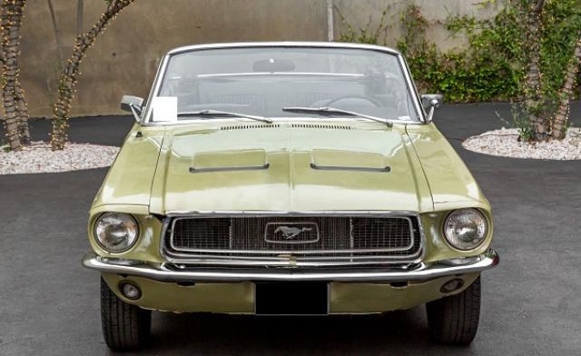 Mustang image 7