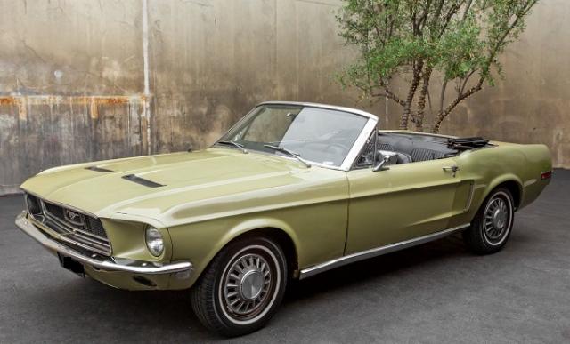 Mustang image 3