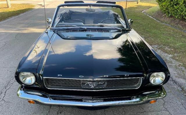 Ford Mustang image 2