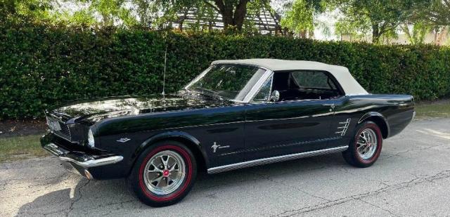 Ford Mustang image 1