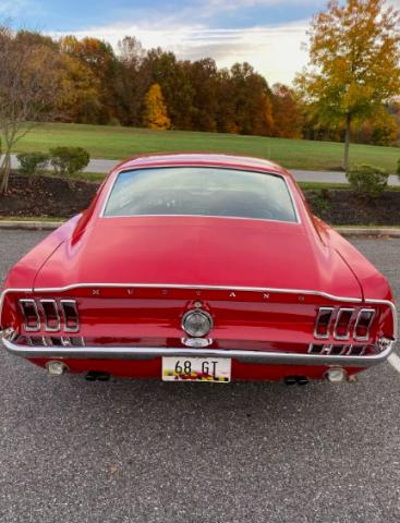 Ford Mustang image 6