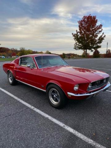 Ford Mustang image 2