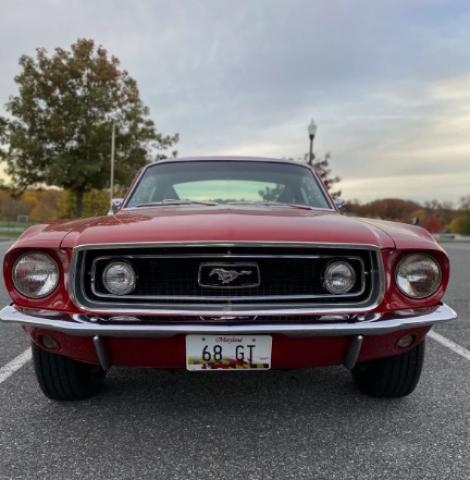 Ford Mustang image 8