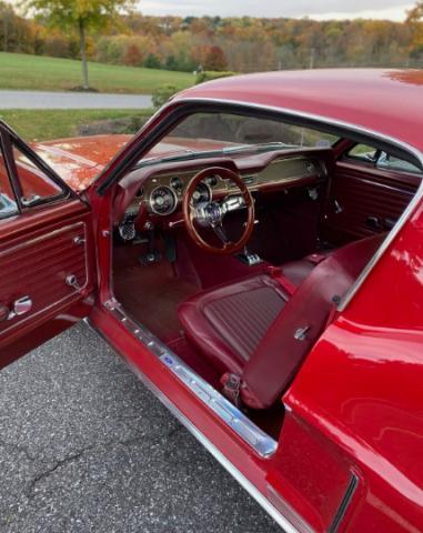 Ford Mustang image 3
