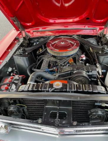 Ford Mustang image 5