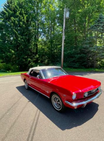 Ford Mustang image 6