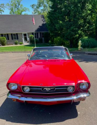 Ford Mustang image 9