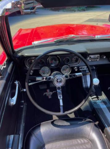 Ford Mustang image 3