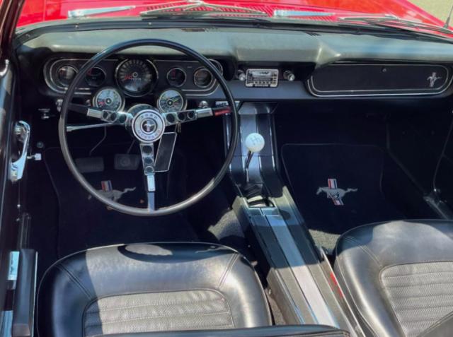 Ford Mustang image 2