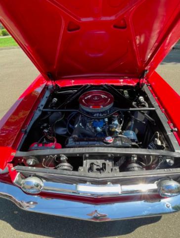 Ford Mustang image 8
