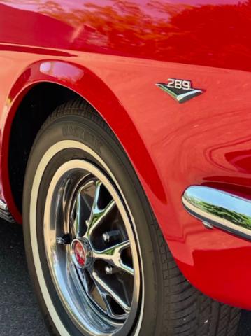 Ford Mustang image 4