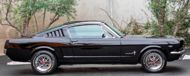 Ford Mustang image 1