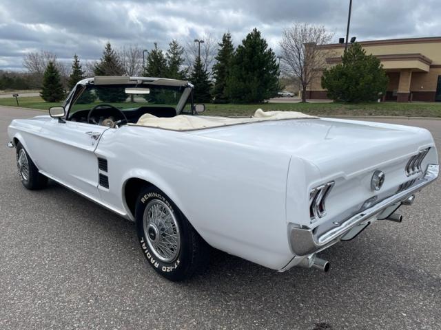 Ford Mustang image 4