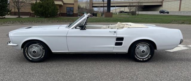 Ford Mustang image 8