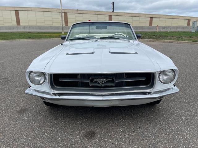 Ford Mustang image 1