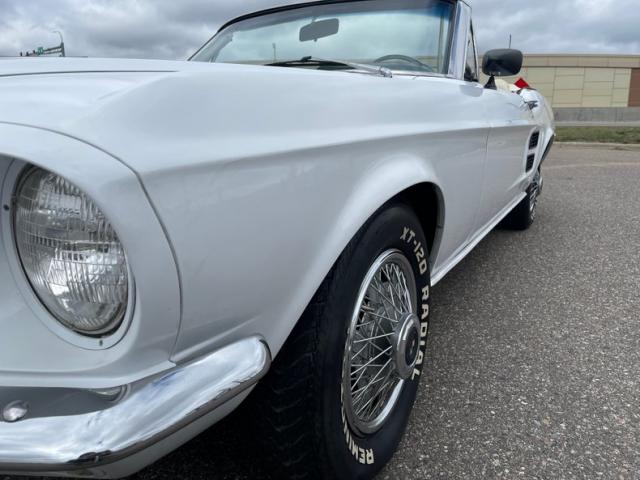 Ford Mustang image 5