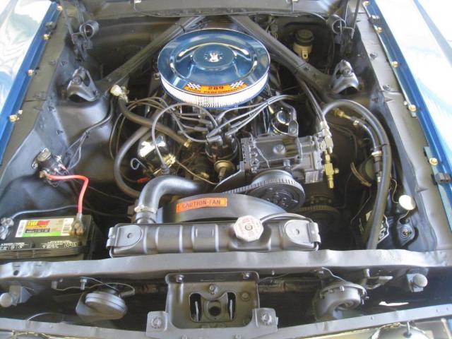 Ford Mustang image 6