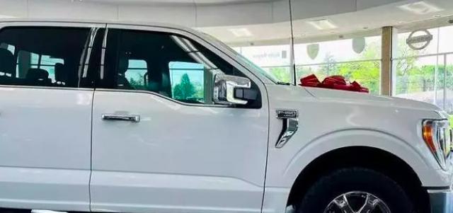 Ford F 150 image 4