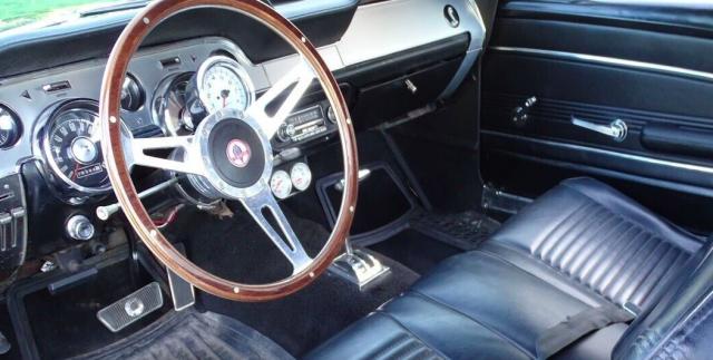Ford Mustang image 1