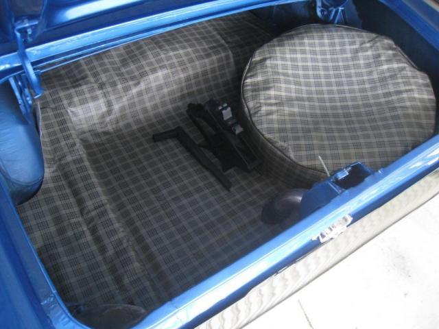 Ford Mustang image 1