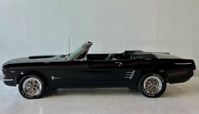 Ford Mustang image 2