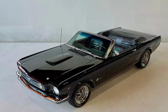 Ford Mustang image 5