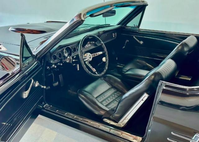 Ford Mustang image 1