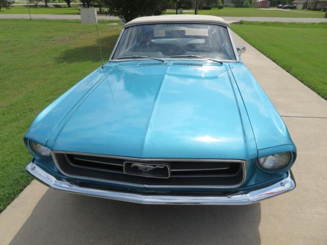 Ford Mustang image 1