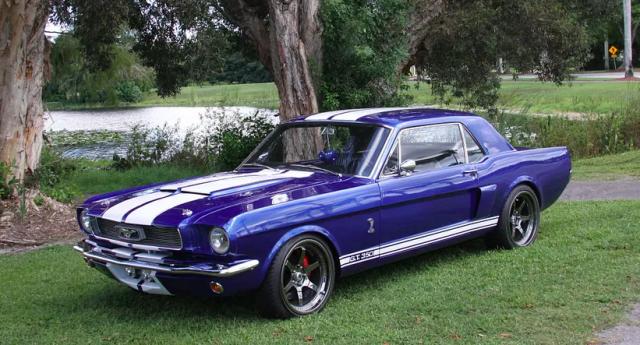Ford Mustang image 3
