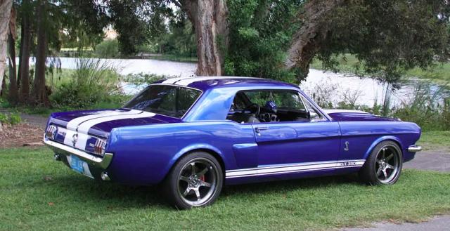 Ford Mustang image 1