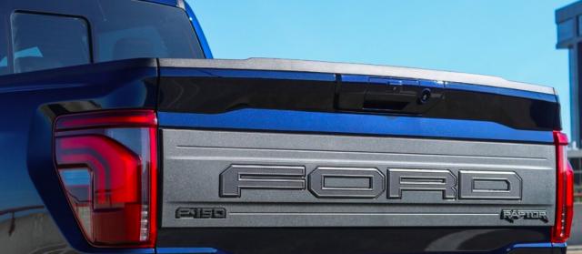 Ford F 150 image 6