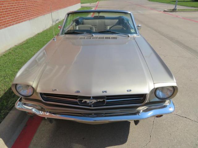 Ford Mustang image 6