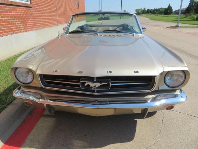 Ford Mustang image 3
