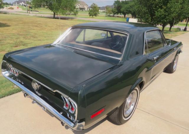 Ford Mustang image 3