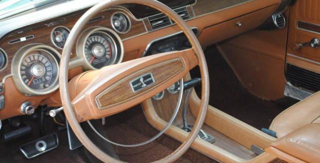 Ford Mustang image 1