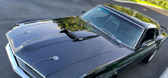 Ford Mustang image 1