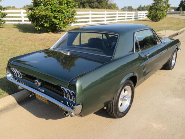 Ford Mustang image 1