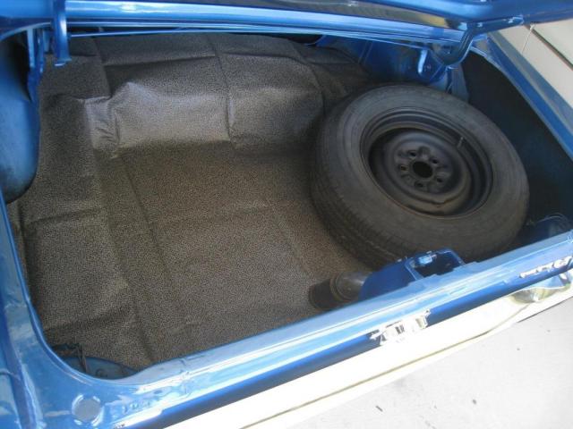 Ford Mustang image 1