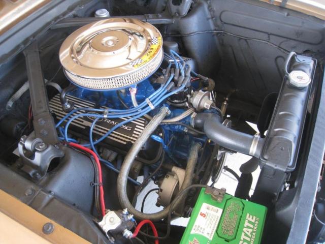 Ford Mustang image 1