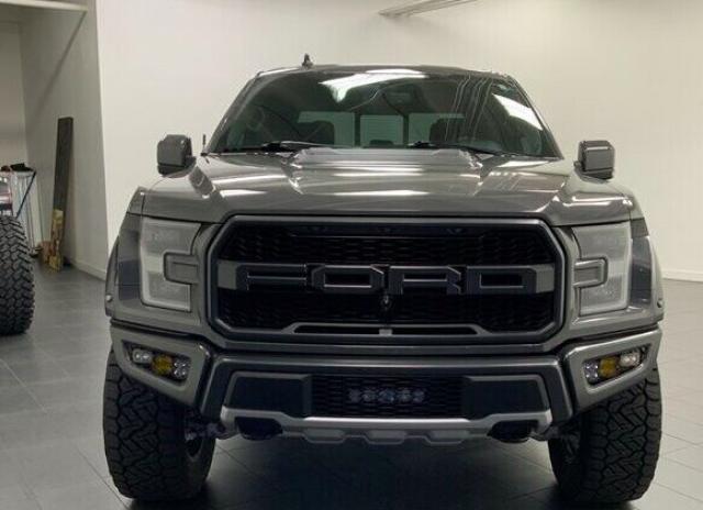 Ford F 150 image 1