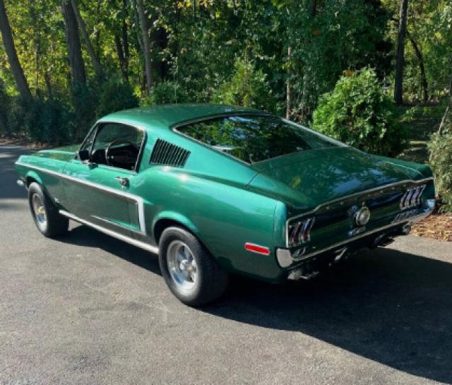 Ford Mustang image 3