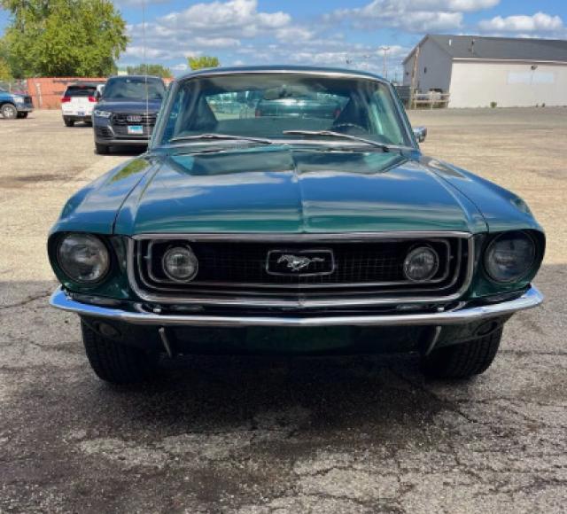 Ford Mustang image 1