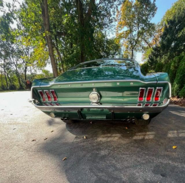 Ford Mustang image 5