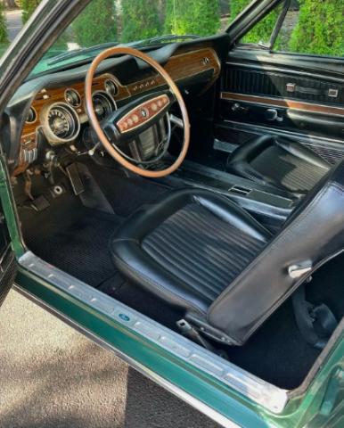 Ford Mustang image 6