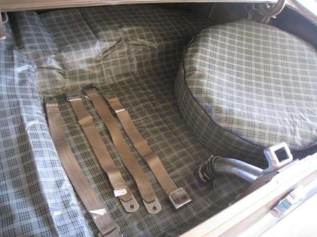 Ford Mustang image 7