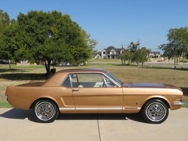 Ford Mustang image 4