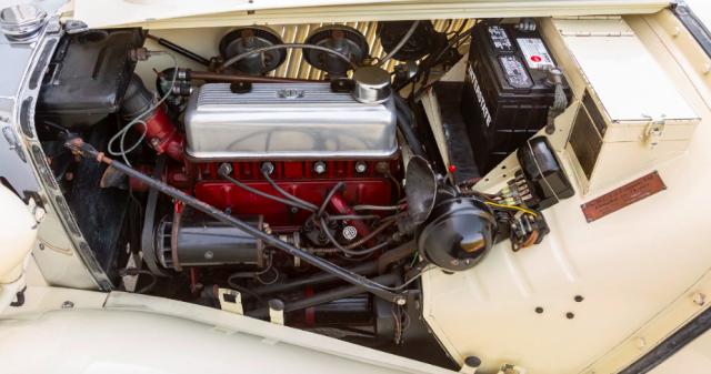 Mg Td image 4